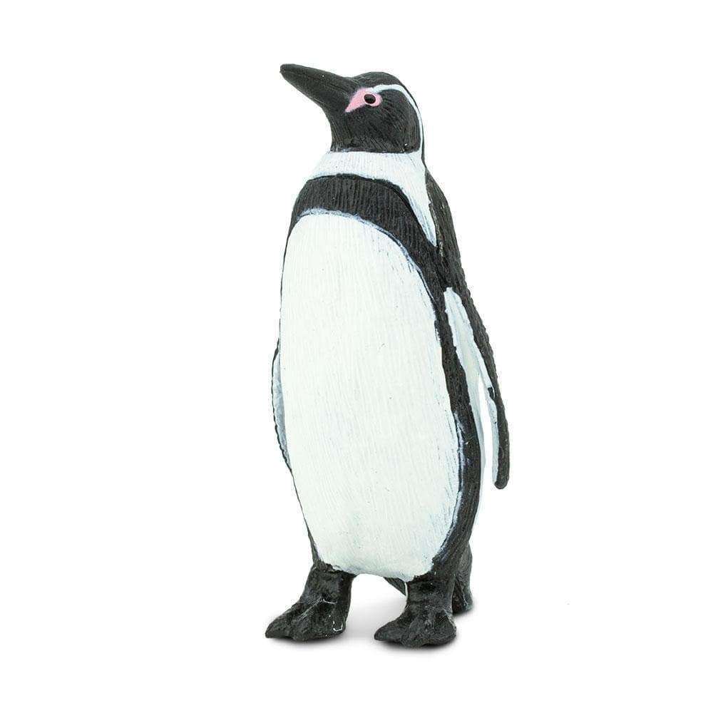 Humboldt Penguin - Safari Ltd® | Browse the SafariPedia